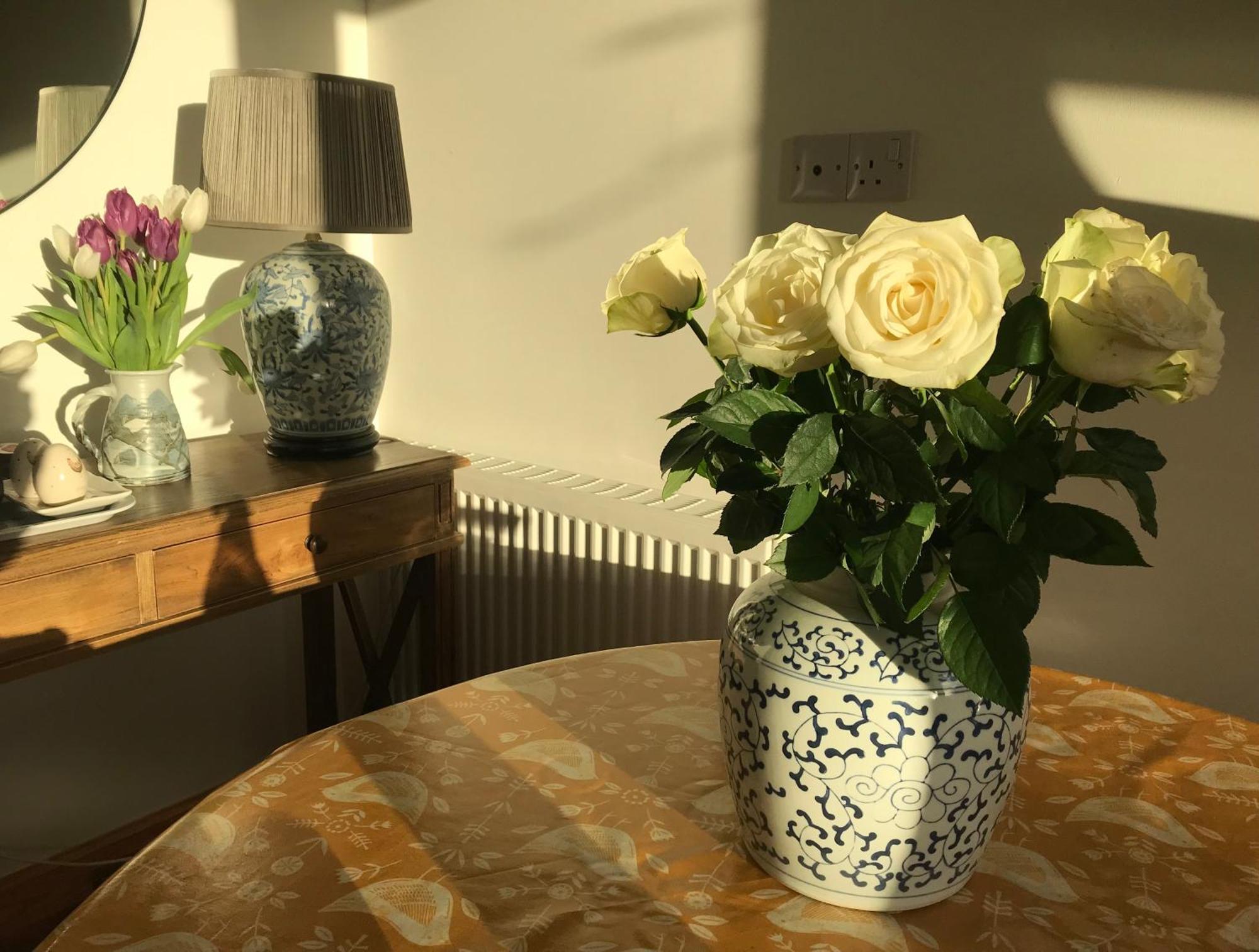 City Central Quiet Garden Apartment With Free Parking Inverness Buitenkant foto