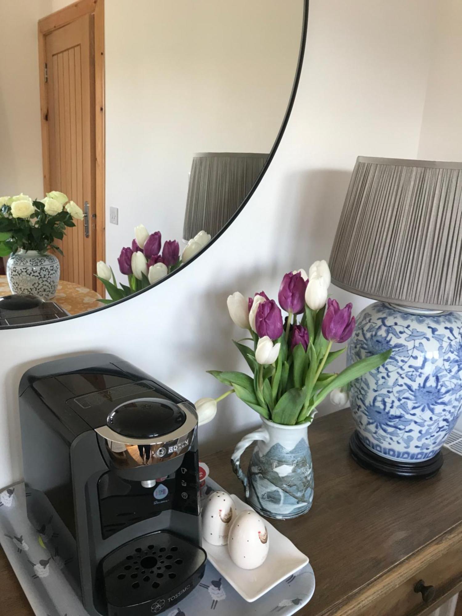 City Central Quiet Garden Apartment With Free Parking Inverness Buitenkant foto