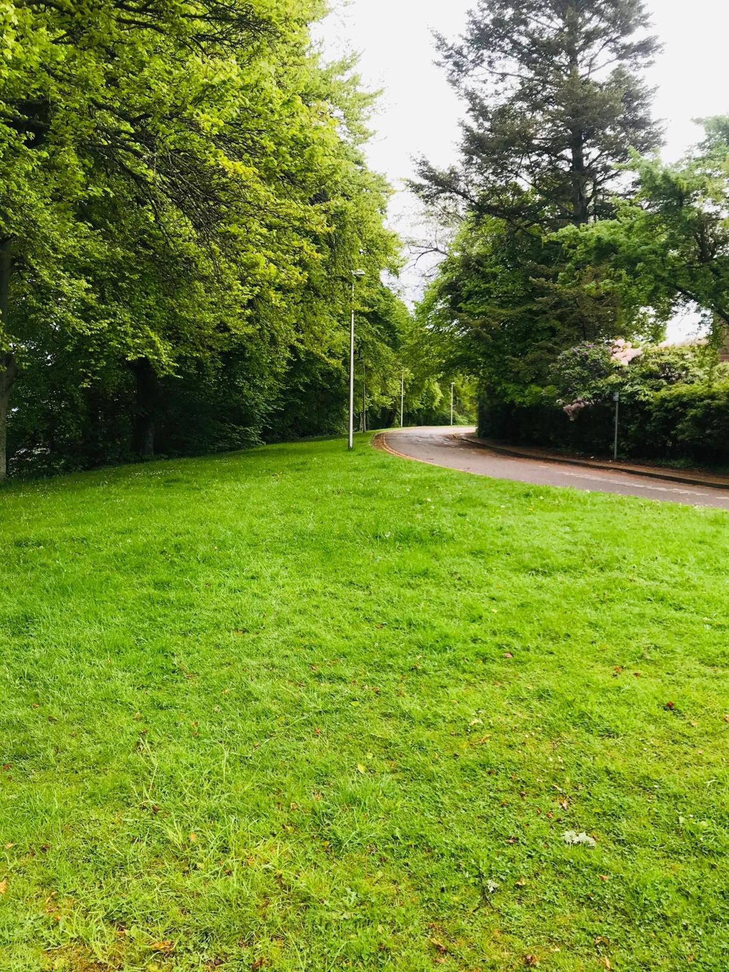 City Central Quiet Garden Apartment With Free Parking Inverness Buitenkant foto