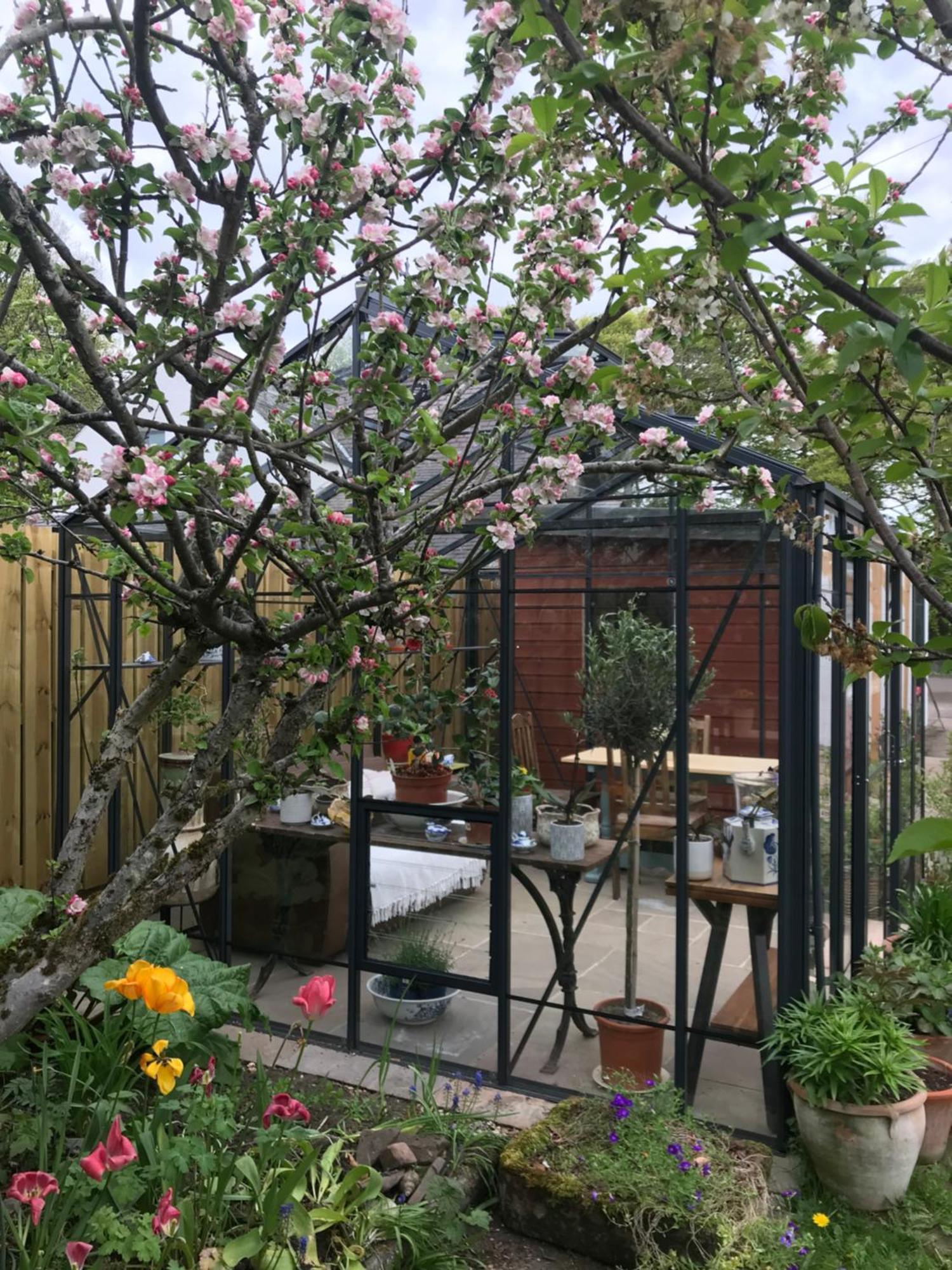 City Central Quiet Garden Apartment With Free Parking Inverness Buitenkant foto